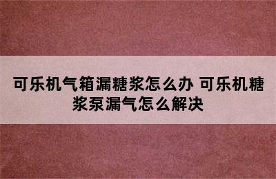 可乐机气箱漏糖浆怎么办 可乐机糖浆泵漏气怎么解决